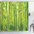 thumbnail image 1 of Ambesonne Green Shower Curtain, Nature Scenery Close up Scene, 69"Wx84"L, Apple Green, 1 of 4