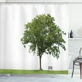 thumbnail image 1 of Ambesonne Green Shower Curtain, Solitude Bench Nobody, 69"Wx75"L, Green White, 1 of 5