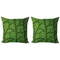 thumbnail image 1 of Ambesonne Green Throw Pillow Cover 2 Pack, Forest Tree Leaf Texture, 24", Dark Green, 1 of 5
