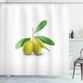 thumbnail image 1 of Ambesonne Green White Shower Curtain, Olives on Branch Leaves, 69"Wx70"L, Khaki and Ecru, 1 of 4