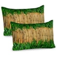 thumbnail image 1 of Ambesonne Green and Brown Pillow Sham 2 Pack, Tree Branch Grass, 30"x20", Sand Brown and Fern Green, 1 of 3