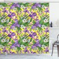 thumbnail image 1 of Ambesonne Green and Purple Shower Curtain, Iris and Narcissus, 69"Wx75"L, Multicolor, 1 of 1