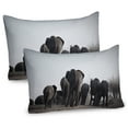 thumbnail image 1 of Ambesonne Grey Pillow Sham 2 Pack, Tropic Wildlife Savannah Back, 26"x20", Grey, 1 of 3
