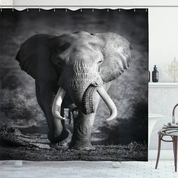 Ambesonne Grey Shower Curtain, Exotic Wildlife, 69"Wx75"L, Grey