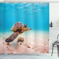 thumbnail image 1 of Ambesonne Hawaiian Shower Curtain, Sea Turtle Underwater, 69"Wx70"L, Aqua Cinnamon Brown, 1 of 3