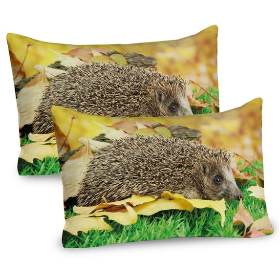 Ambesonne Hedgehog Pillow Sham 2 Pack, Little Hedgehog, 26"x20", Brown Earth Yellow Green