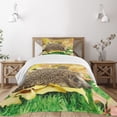thumbnail image 1 of Ambesonne Hedgehog Quilted Bedspread Set 2 Pcs, Little Hedgehog, Twin Size, Brown Earth Yellow Green, 1 of 5