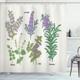 thumbnail image 1 of Ambesonne Herb Shower Curtain, Botanical Infographic Plants, 69"Wx84"L, Coconut and Multicolor, 1 of 3