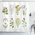 thumbnail image 1 of Ambesonne Herb Shower Curtain, Natural Cosmetics Flowers, 69"Wx70"L, Multicolor, 1 of 3
