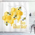 thumbnail image 1 of Ambesonne Honey Bee Shower Curtain, Bee Charmer Lettering, 69"Wx70"L, Orange White, 1 of 5