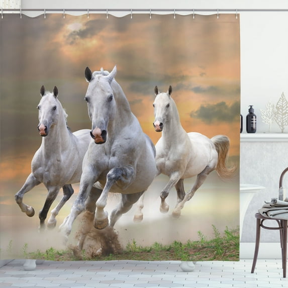 Ambesonne Horses Shower Curtain, Sky, 69"Wx75"L, White Orange
