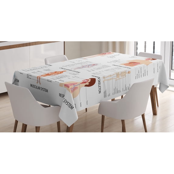 Ambesonne Human Anatomy Tablecloth Rectangular Table Cover, Organs Body Structure, 52"x70", White and Multicolor