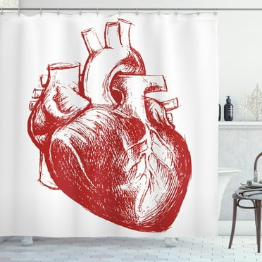 Ambesonne Human Heart Shower Curtain, Sketch of Cardio Organ, 69"Wx70"L, Vermilion and White