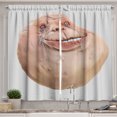 thumbnail image 1 of Ambesonne Humor Kitchen Curtains, Forever Alone Meme, 55"x39", Tan and Peach, 1 of 3