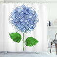 thumbnail image 1 of Ambesonne Hydrangea Shower Curtain, Simple Flower Blooms, 69"Wx75"L, Ceil Blue Fern Green, 1 of 4