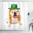 thumbnail image 1 of Ambesonne Irish Shower Curtain, Funny Dog Leprechaun Hat Hair, 69"Wx75"L, Orange Green and Pearl, 1 of 4
