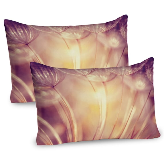 Ambesonne Ivory Pillow Sham 2 Pack, Dandelion Petals Spring, 30"x20", Peach Coral