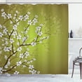 thumbnail image 1 of Ambesonne Japanese Shower Curtain, Sakura Bloom Spring Season, 69"Wx75"L, Pale Olive Green, 1 of 4