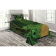 thumbnail image 1 of Ambesonne Jungle Quilted Coverlet 2 Pcs, Nature Call Park Design, Twin Size, Green, 1 of 2