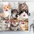 thumbnail image 1 of Ambesonne Kittens Shower Curtain, Licking Cats Funny Faces, 69"Wx84"L, Grey Pale Brown Taupe, 1 of 2