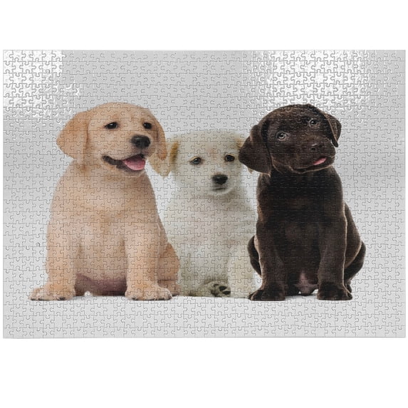 Ambesonne Lab Jigsaw Puzzle Durable Cardboard, Different Colored Dog Puppies, 1000 pcs, Dark Brown Ivory