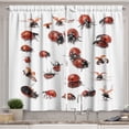 thumbnail image 1 of Ambesonne Ladybug Kitchen Curtains, Spotted Ladybugs Pattern, 55"x45", Paprika and Charcoal Grey, 1 of 3