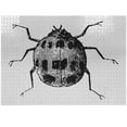thumbnail image 1 of Ambesonne Ladybugs Jigsaw Puzzle Durable Cardboard, Spotted Scary Large Insect, 1000 pcs, White and Black, 1 of 1