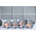thumbnail image 1 of Ambesonne Lake Throw Pillow Cover Pack of 4, Pastel Sunset Serene Pier View, 4 Pcs-20" x 20", Peach Blush Ceil Blue, 1 of 5