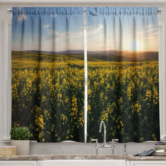 Ambesonne Landscape Kitchen Curtains, Sunset Flower Field, 55"x45", Yellow Green Blue