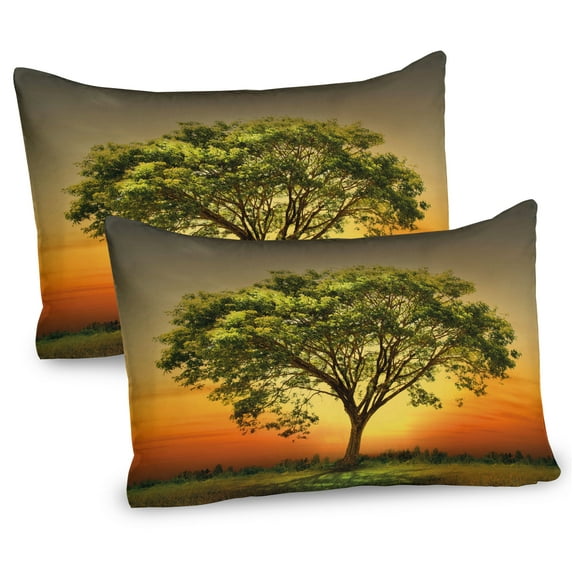 Ambesonne Landscape Pillow Sham 2 Pack, Sunset Scenery Valley, 26"x20", Fern Green Marigold