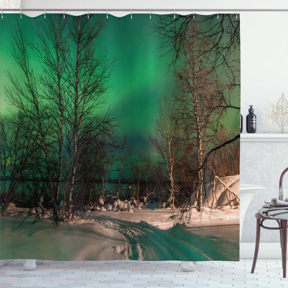 Ambesonne Landscape Shower Curtain, Snowy Frozen Road, 69"Wx70"L, Jade Green Brown White