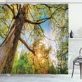 thumbnail image 1 of Ambesonne Landscape Shower Curtain, Vibrant Summer Sky, 69"Wx84"L, Green Brown, 1 of 5