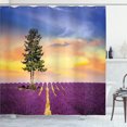 thumbnail image 1 of Ambesonne Lavender Shower Curtain, French Countryside, 69"Wx70"L, Multicolor, 1 of 5