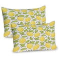 thumbnail image 1 of Ambesonne Lemon Pillow Sham 2 Pack, Lemonade Fruit Leaves Doodle, 30"x20", Green and Mustard, 1 of 3