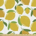 thumbnail image 1 of Ambesonne Lemons Fabric by the Yard Upholstery, Energetic Colors Citrus Art, 2 Yards, Earth Yellow White Green, 1 of 5