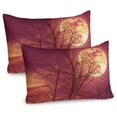 thumbnail image 1 of Ambesonne Luna Pillow Sham 2 Pack, Moon Sky Dead Tree Art, 30"x20", Dried Rose Yellow Brown, 1 of 3