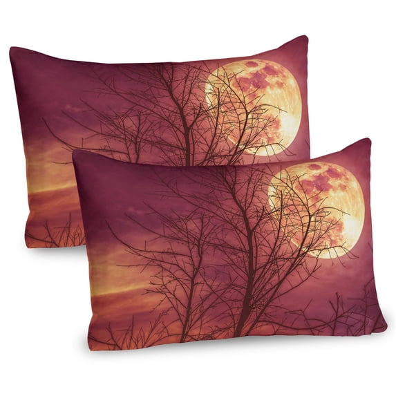 Ambesonne Luna Pillow Sham 2 Pack, Moon Sky Dead Tree Art, 30"x20", Dried Rose Yellow Brown
