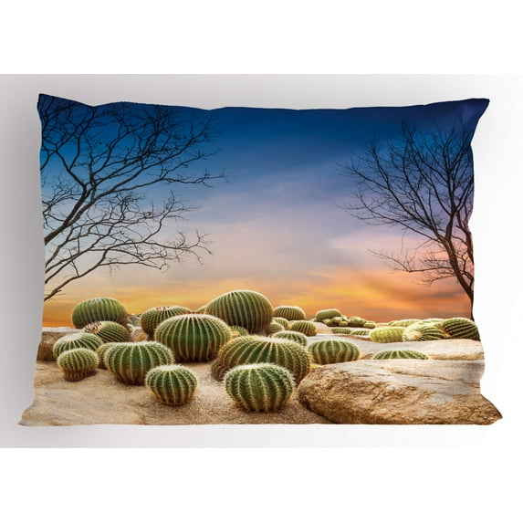 Ambesonne Mexico Pillow Sham, Cactus Balls on Mountain, 26" X 20", Multicolor