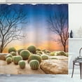 thumbnail image 1 of Ambesonne Mexico Shower Curtain, Cactus Balls on Mountain, 69"Wx84"L, Multicolor, 1 of 5
