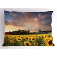 thumbnail image 1 of Ambesonne Minnesota Pillow Sham, Sunflower Field Sky, 36" X 20", Multicolor, 1 of 2