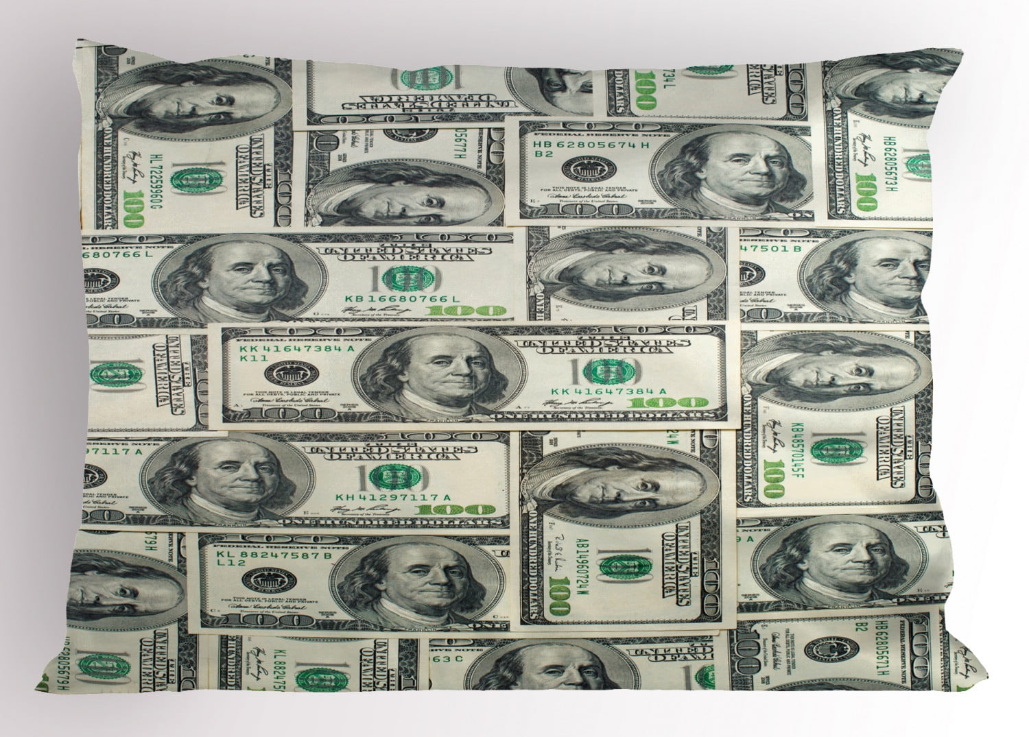 Pale Green Grey Money Print Polyester Pillow Sham