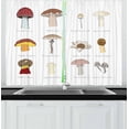 thumbnail image 1 of Ambesonne Mushroom Kitchen Curtains, Blusher Boletus Sketch, 55"x39", Multicolor, 1 of 3