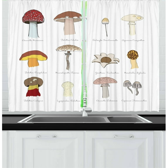 Ambesonne Mushroom Kitchen Curtains, Blusher Boletus Sketch, 55"x39", Multicolor