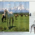 thumbnail image 1 of Ambesonne National Parks Shower Curtain, Horses, 69"Wx75"L, Multicolor, 1 of 3