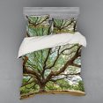 thumbnail image 1 of Ambesonne Nature Bedding Set 4 Pcs, Big Rain Tree Thailand, Queen, Brown Green, 1 of 2