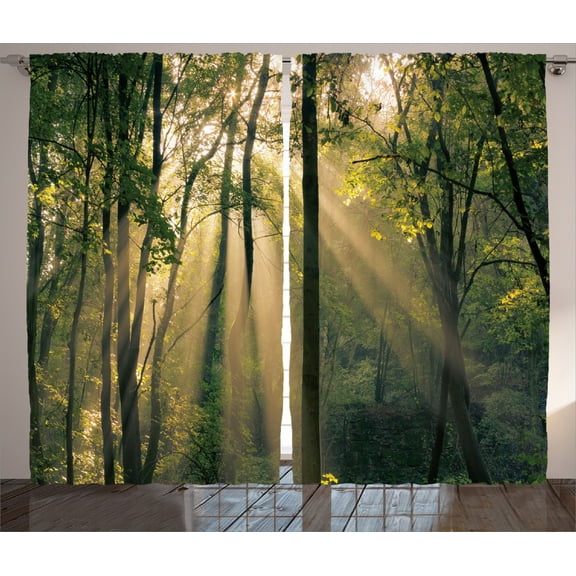 Ambesonne Nature Curtains 2 Panel Set, Summertime Countryside, 108" x 84", Green Beige Black