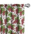 thumbnail image 1 of Ambesonne Nature Curtains, Grape Fruit Harvest, Pair of 28"x95", Fern Green Ruby, 1 of 5