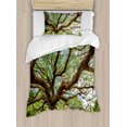 thumbnail image 1 of Ambesonne Nature Duvet Cover Sets, Big Rain Tree Thailand, 2-Twin, Brown Green, 1 of 3