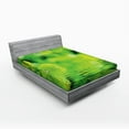 thumbnail image 1 of Ambesonne Nature Fitted Sheet, Leaves and River Peace, Full Size, Green, 1 of 2