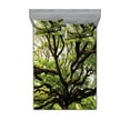 thumbnail image 1 of Ambesonne Nature Fitted Sheet & Pillow Sham Set, Majestic Tree Thailand, Queen, Green Brown, 1 of 2